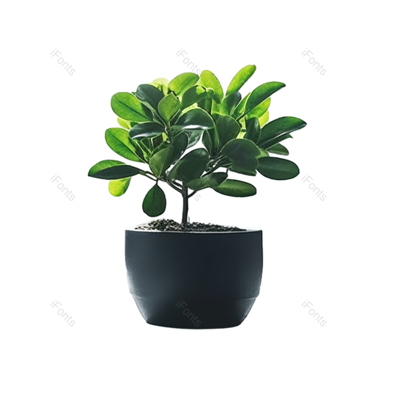 叶子图片,边框元素,装饰PNG,清新免抠素材